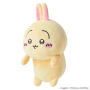 Posture Pal - CHiiKAWA - Blind Box Lucky Ready