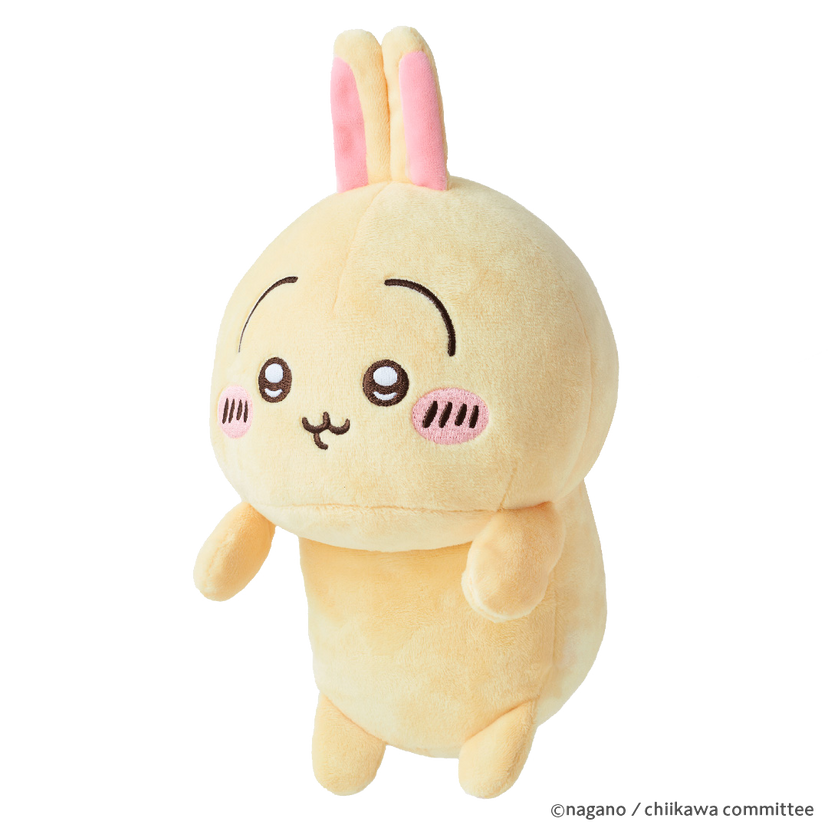 Posture Pal - CHiiKAWA - Blind Box Lucky Ready
