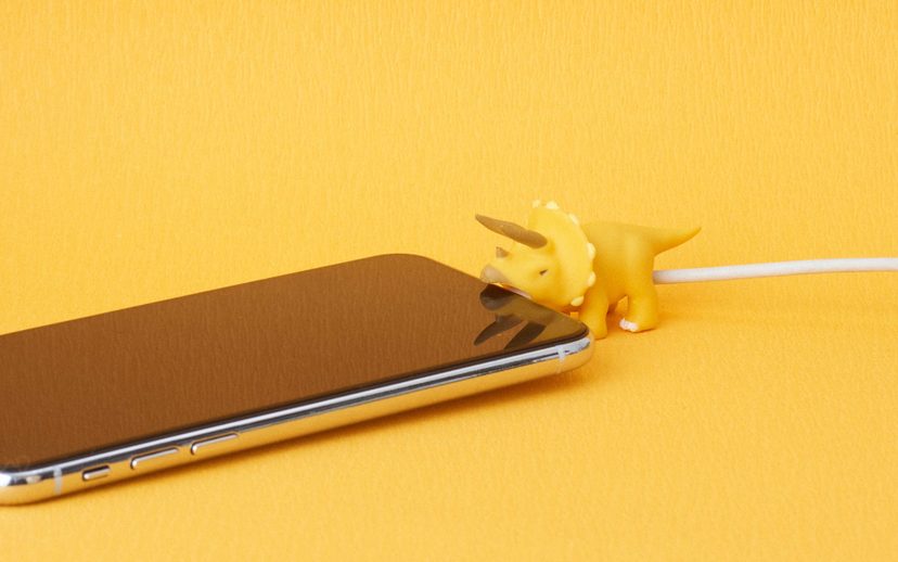 CABLE BITE Dino - Sweet Travel Carry