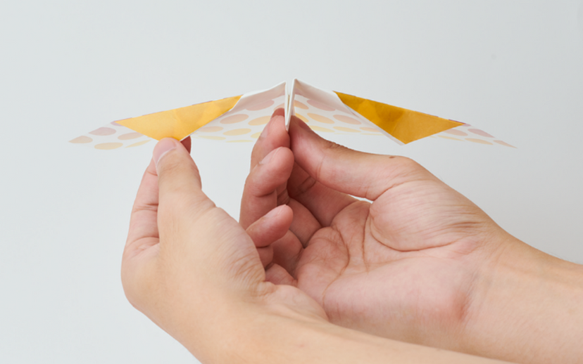 Papillon Origami Airplanes - Bright Pocket Carry
