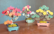 Play Plants Bonsai Puzzles - Sweet Display Ready