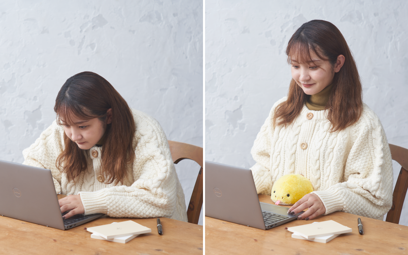Posture Pal - Bright Travel Choice