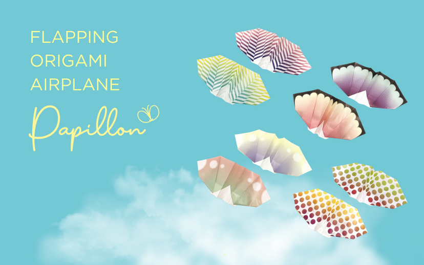 Papillon Origami Airplanes - Bright Pocket Carry