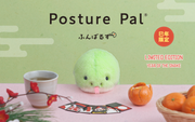 Posture Pal - Bright Travel Choice