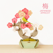 Play Plants Bonsai Puzzles - Collector Gift Buddy