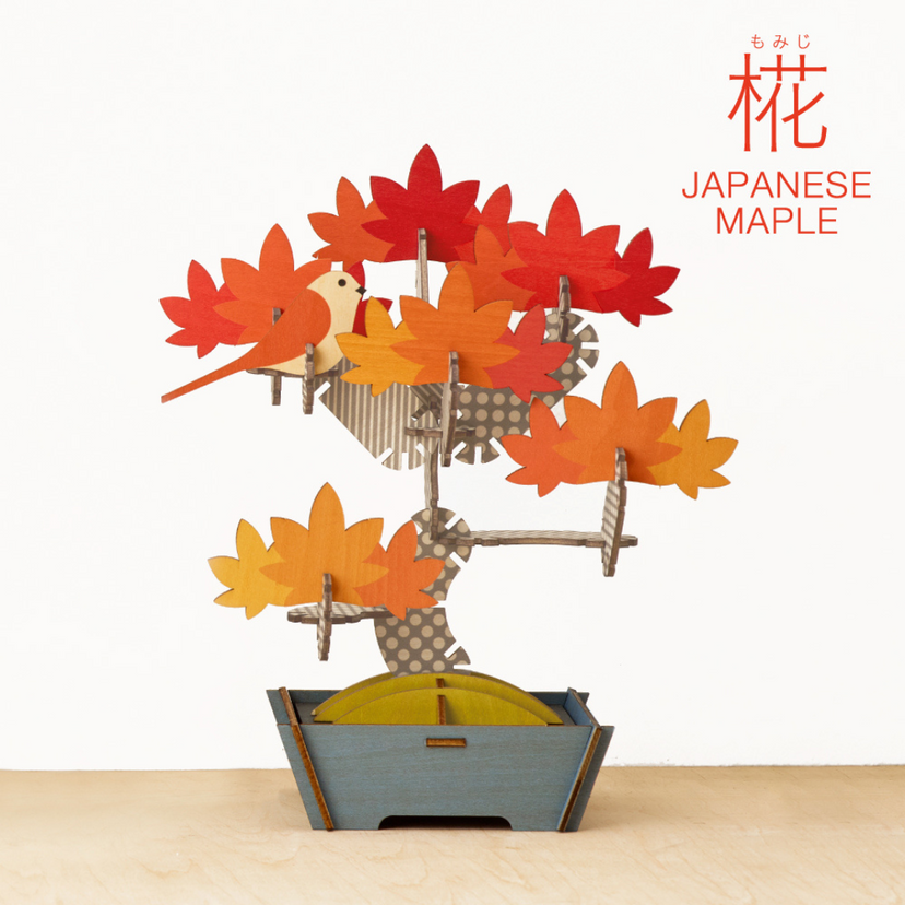 Play Plants Bonsai Puzzles - Sweet Display Ready